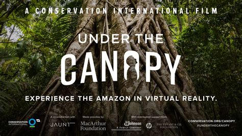 Under the canopy. Things To Know About Under the canopy. 